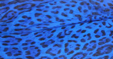 Cheetah 230 x 120