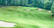 golf hole 230-x-120