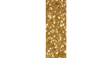 Sequin Gold 230 x 120