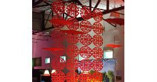 Chinese Curtain